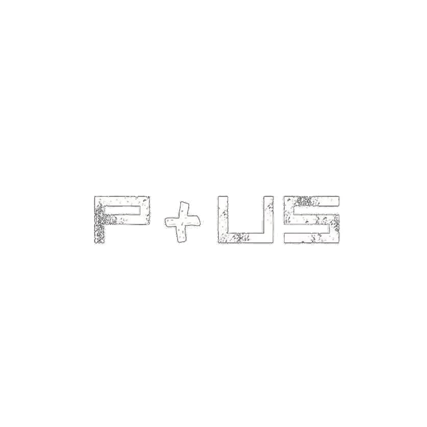 P+US